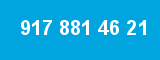 917 881 46 21 917 881 46 21